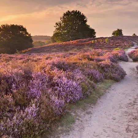 Chalet Luxury Retreat Veluwe - Garden, Ac, Bathtub